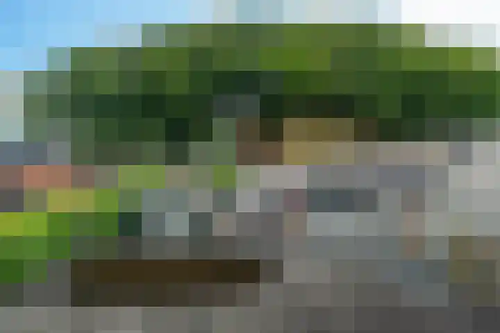 van Teijenswei 1 Westergeast thumbnail 37