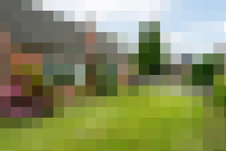 van Teijenswei 1 Westergeast thumbnail 38