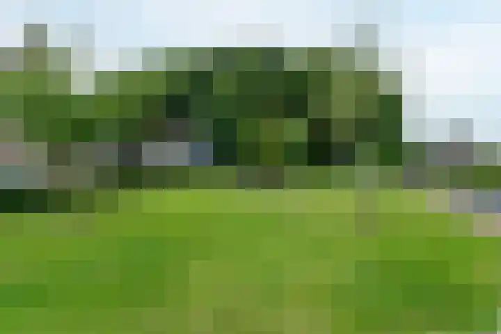 van Teijenswei 1 Westergeast thumbnail 39
