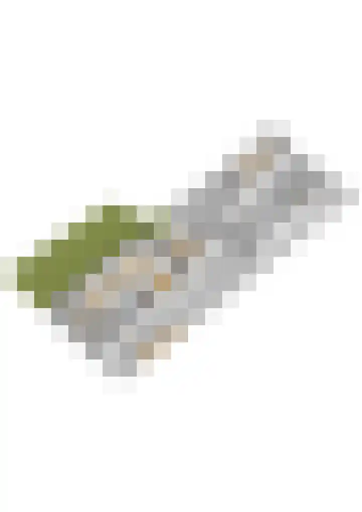 van Teijenswei 1 Westergeast thumbnail 49