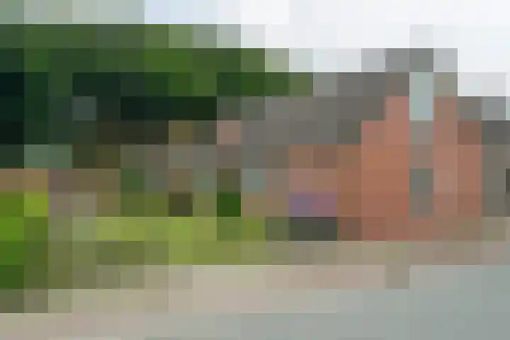 van Teijenswei 1 Westergeast thumbnail 50