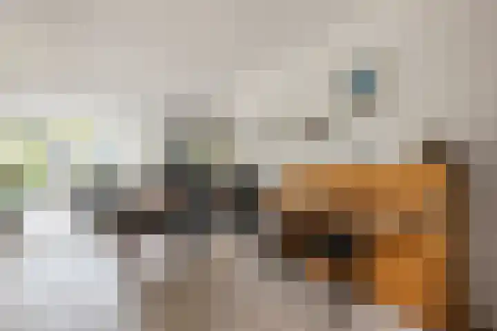 Van Teijlingenlaan 16 Bergen (NH) thumbnail 11
