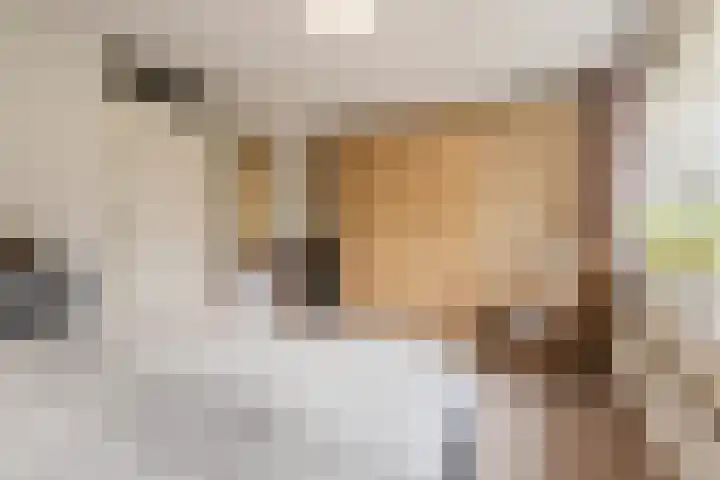 Van Teijlingenlaan 16 Bergen (NH) thumbnail 19