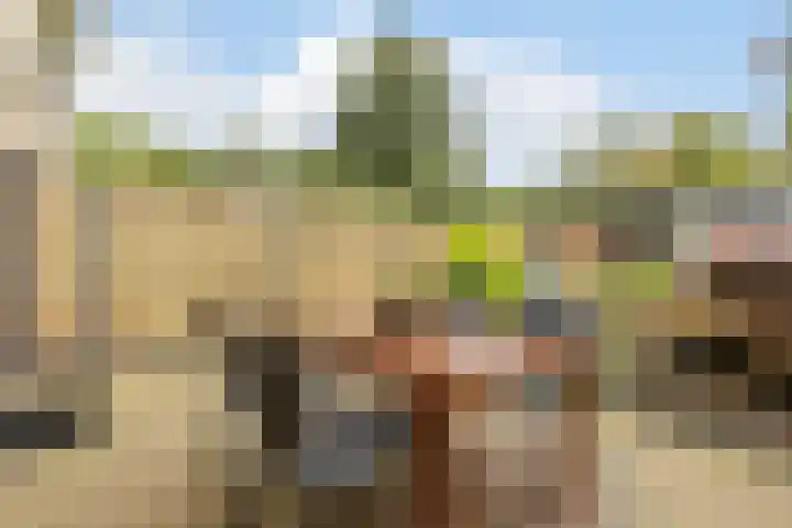 Van Teijlingenlaan 16 Bergen (NH) thumbnail 33