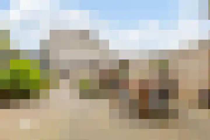 Van Teijlingenlaan 16 Bergen (NH) thumbnail 36