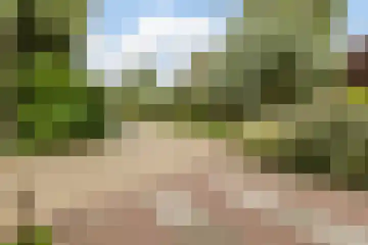 Van Teijlingenlaan 16 Bergen (NH) thumbnail 42