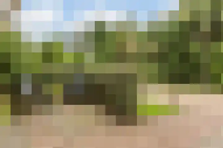 Van Teijlingenlaan 16 Bergen (NH) thumbnail 5