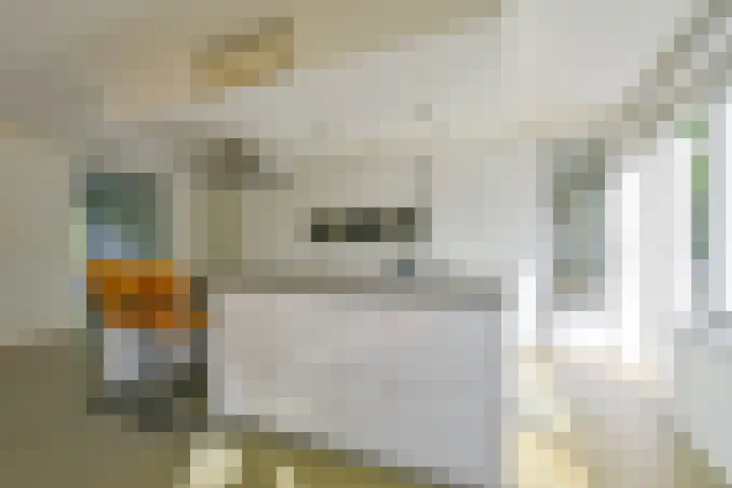 Van Teijlingenlaan 5 Bergen (NH) thumbnail 9