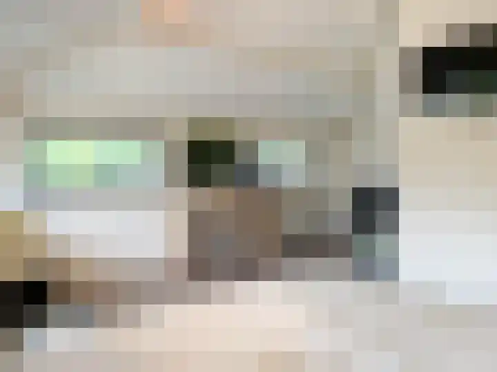 Van Teijlingenlaan 9 Bergen (NH) thumbnail 32