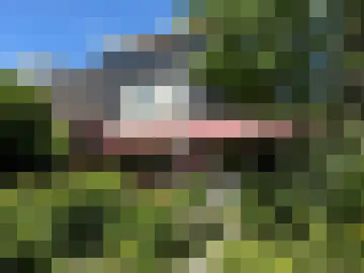 Van Teijlingenlaan 9 Bergen (NH) thumbnail 38