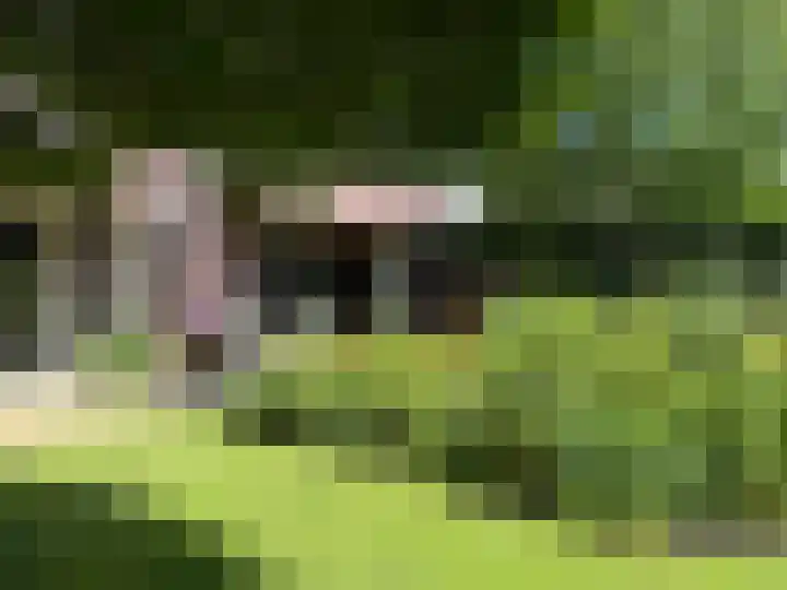 Van Teijlingenlaan 9 Bergen (NH) thumbnail 39