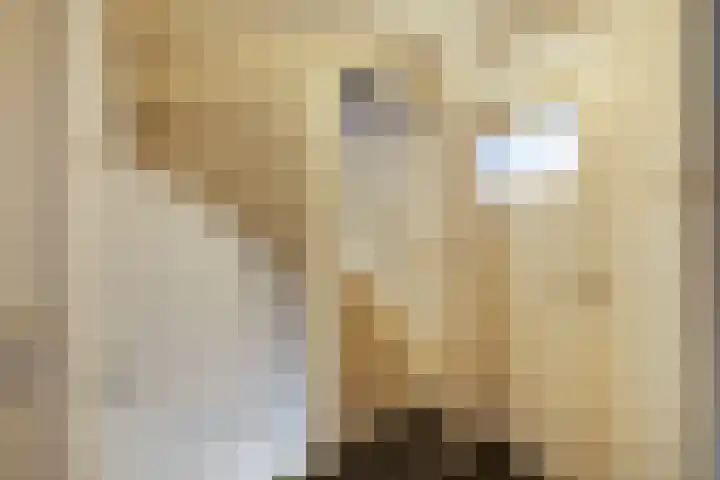 van Teijlingenstraat 4 Oudkarspel thumbnail 23