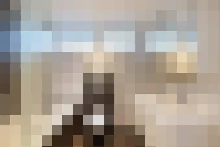 van Teijlingenstraat 4 Oudkarspel thumbnail 29
