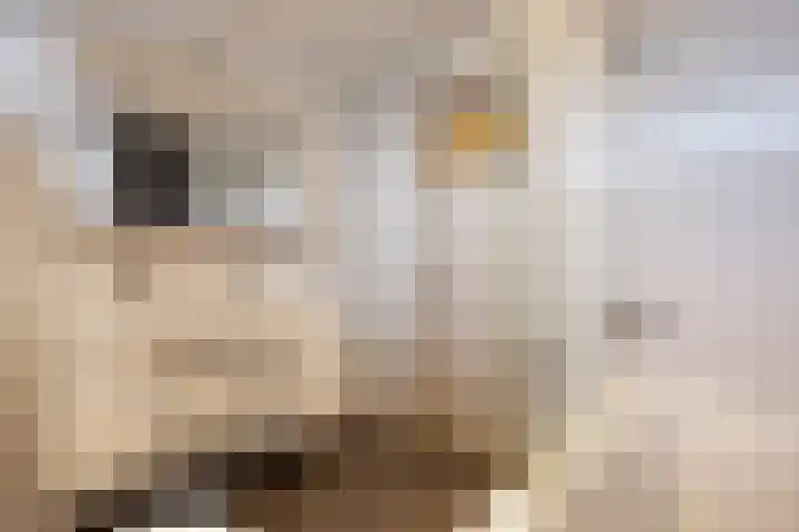 van Teijlingenstraat 4 Oudkarspel thumbnail 31