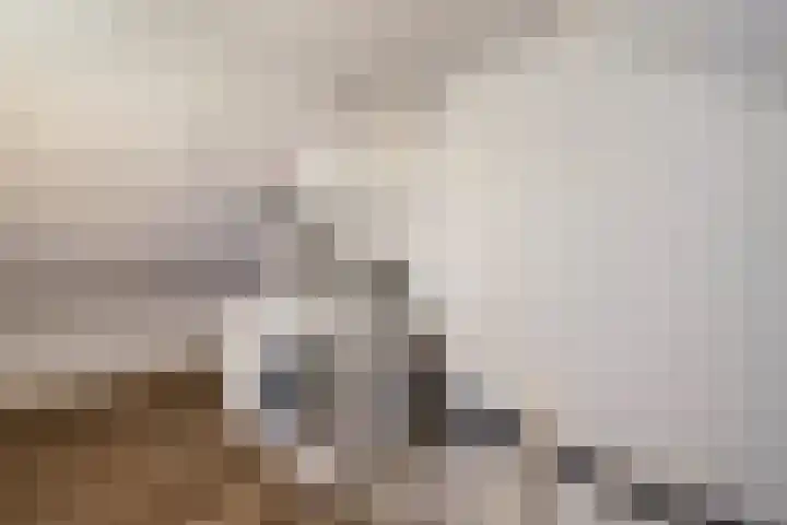 van Teijlingenstraat 4 Oudkarspel thumbnail 32
