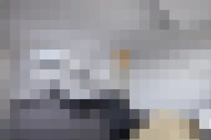 van Teijlingenstraat 4 Oudkarspel thumbnail 35