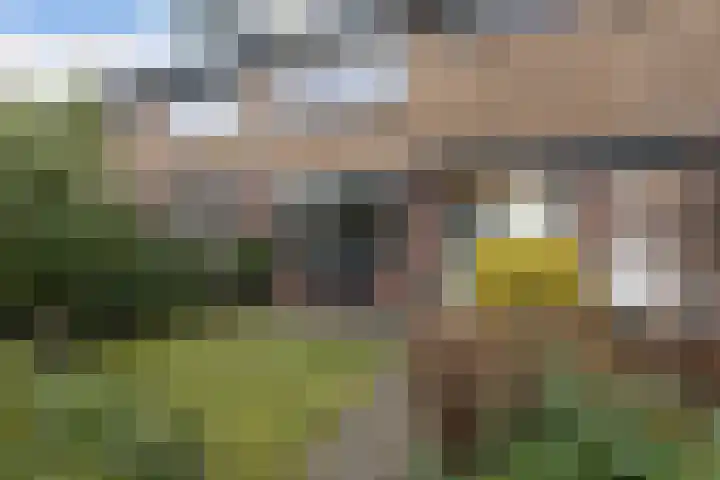 van Teijlingenstraat 4 Oudkarspel thumbnail 4