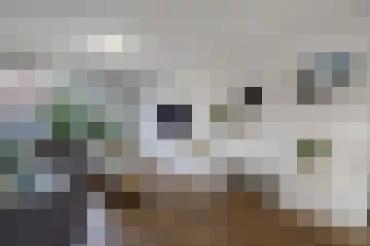 van Teijlingenstraat 4 Oudkarspel thumbnail 8