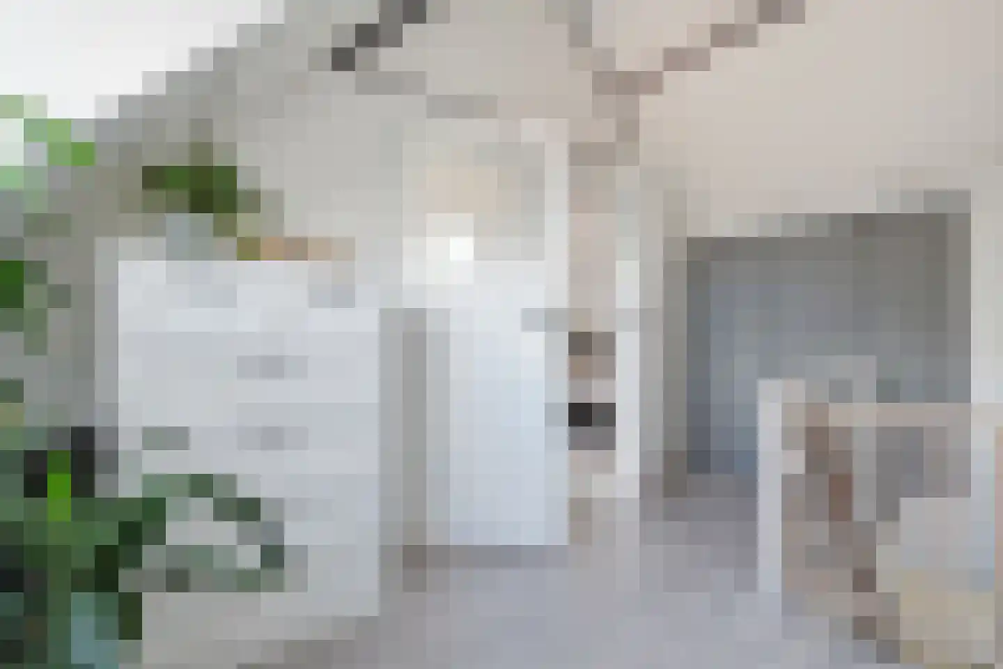 Van Teijlingenstraat 6 Oost-Souburg thumbnail 19