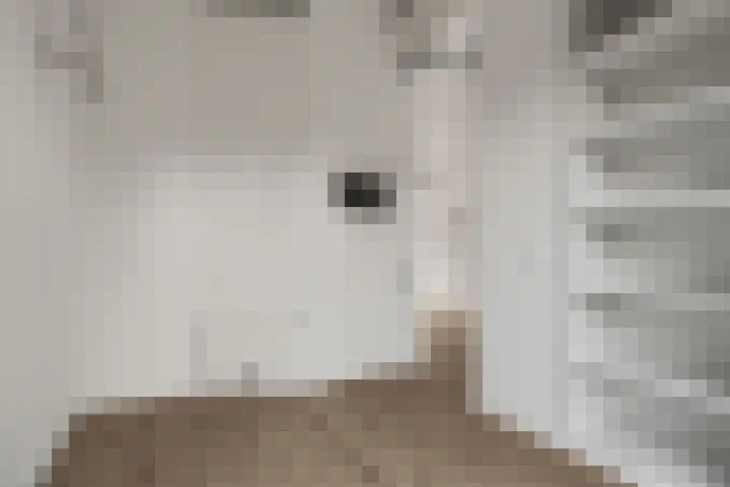 Van Tetslaan 15 Zeist thumbnail 21