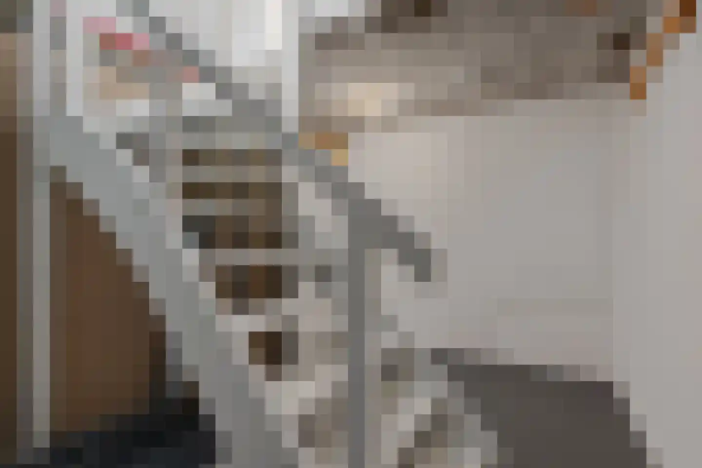 Van Tetslaan 15 Zeist thumbnail 22
