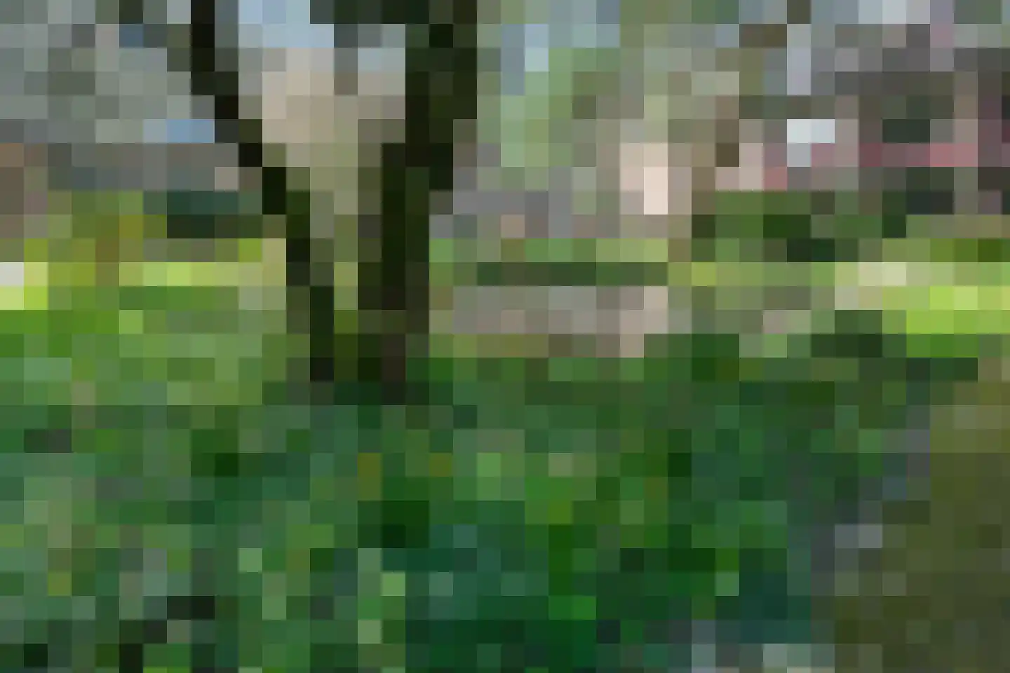 Van Tetslaan 15 Zeist thumbnail 33