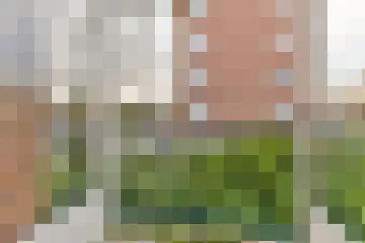 Van Tetslaan 25 Zeist thumbnail 12