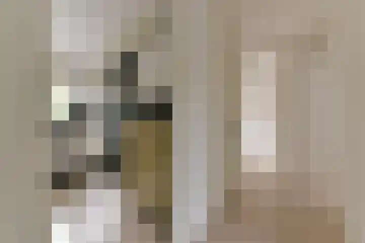 Van Tetslaan 25 Zeist thumbnail 19