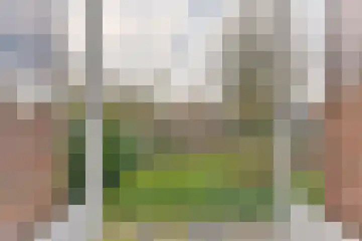 Van Tetslaan 25 Zeist thumbnail 25