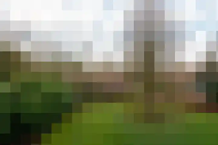 Van Tetslaan 25 Zeist thumbnail 26