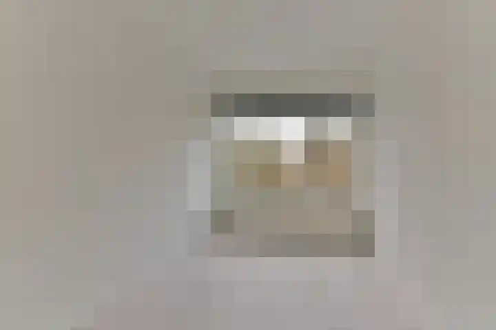 Van Tetslaan 25 Zeist thumbnail 29