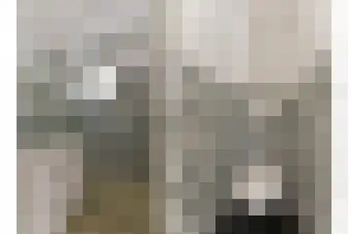 Van Tetslaan 25 Zeist thumbnail 31