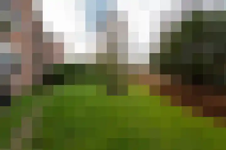 Van Tetslaan 25 Zeist thumbnail 32