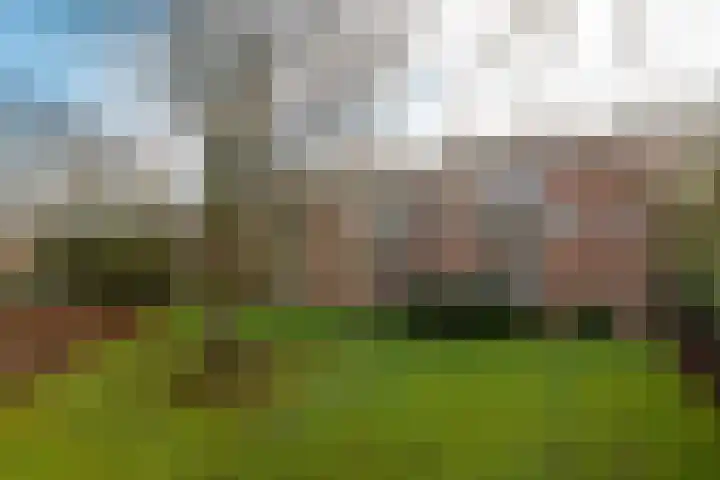 Van Tetslaan 25 Zeist thumbnail 33