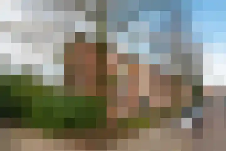 Van Tetslaan 25 Zeist thumbnail 4