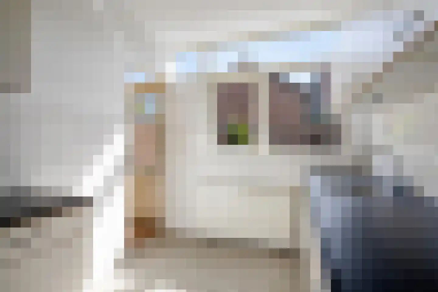 Van Tetterodestraat 38 Tilburg thumbnail 18