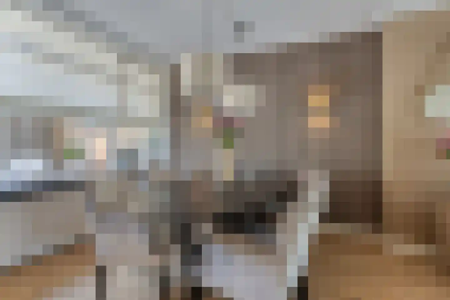 Van Tetterodestraat 70 Tilburg thumbnail 15