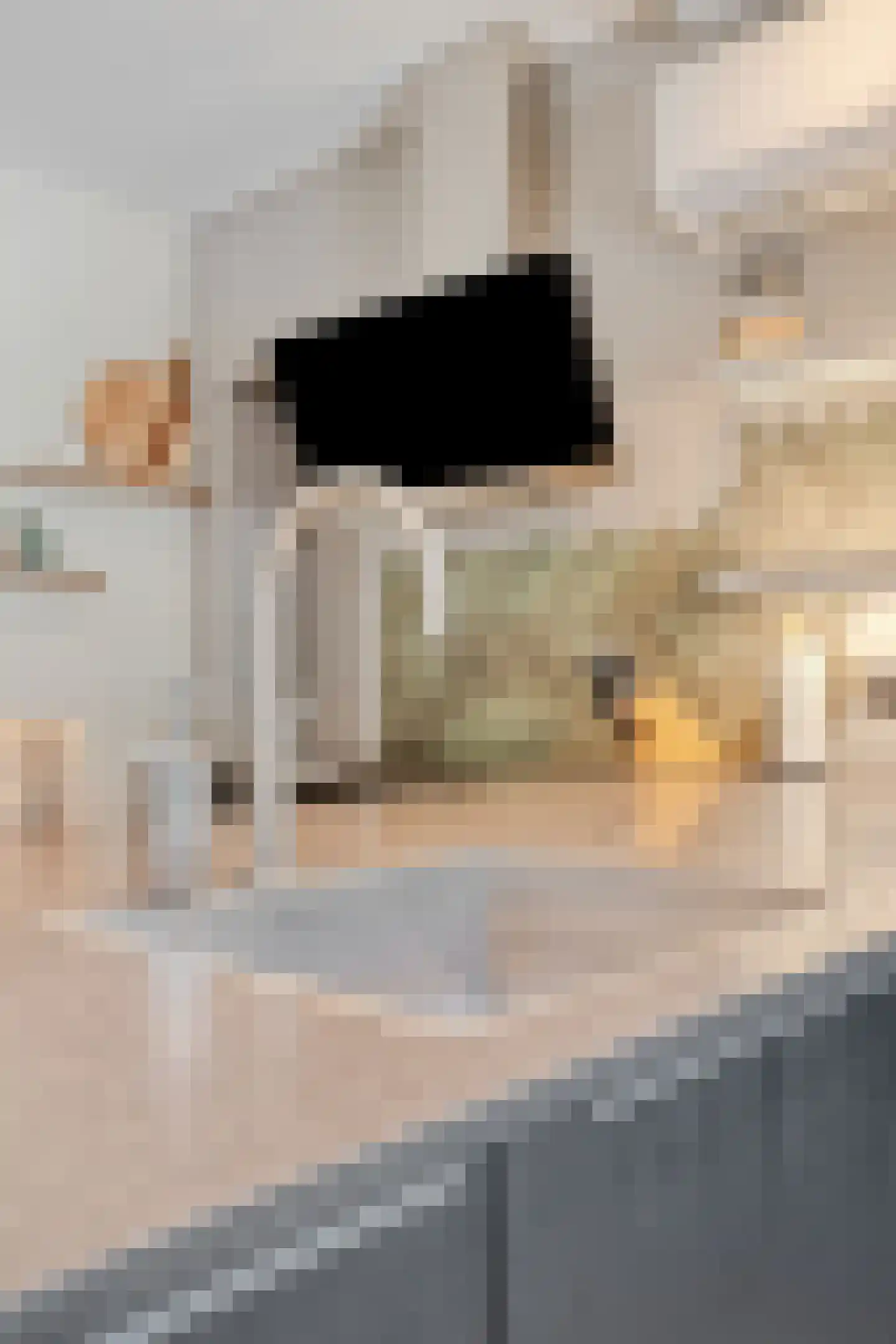 Van Tetterodestraat 70 Tilburg thumbnail 19