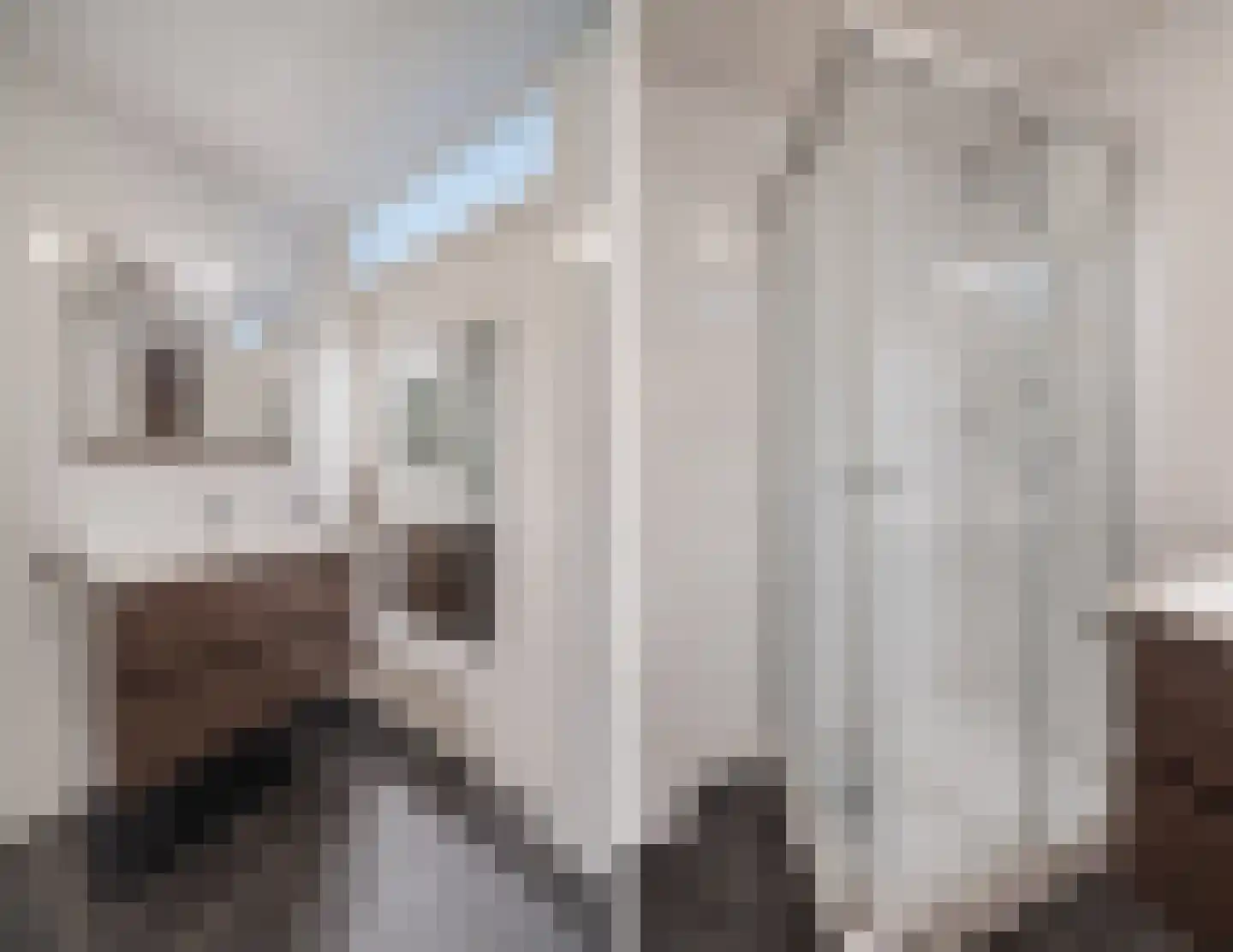 Van Tetterodestraat 71 Tilburg thumbnail 25