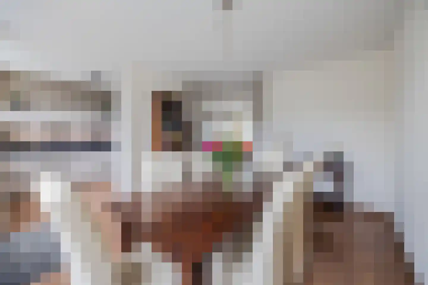 Van Tetterodestraat 71 Tilburg thumbnail 7
