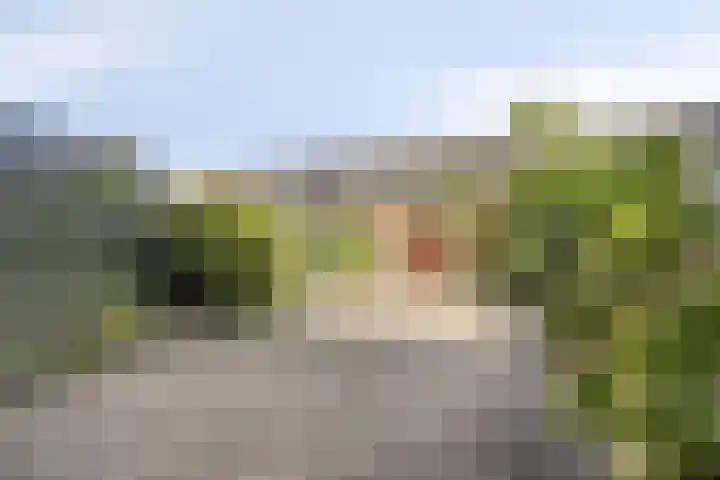 Van Tetterodestraat 76 Tilburg thumbnail 37