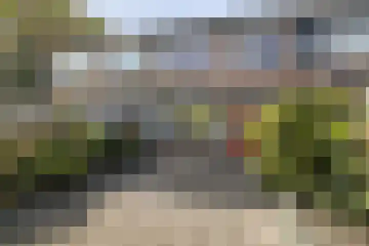 Van Tetterodestraat 76 Tilburg thumbnail 39