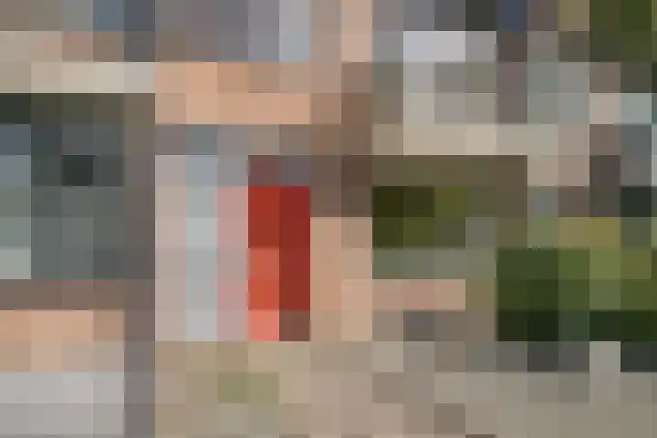 Van Tetterodestraat 76 Tilburg thumbnail 5
