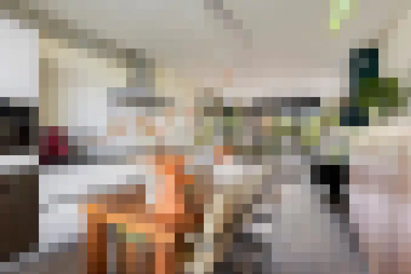 Van Tetterodestraat 81 Tilburg thumbnail 10