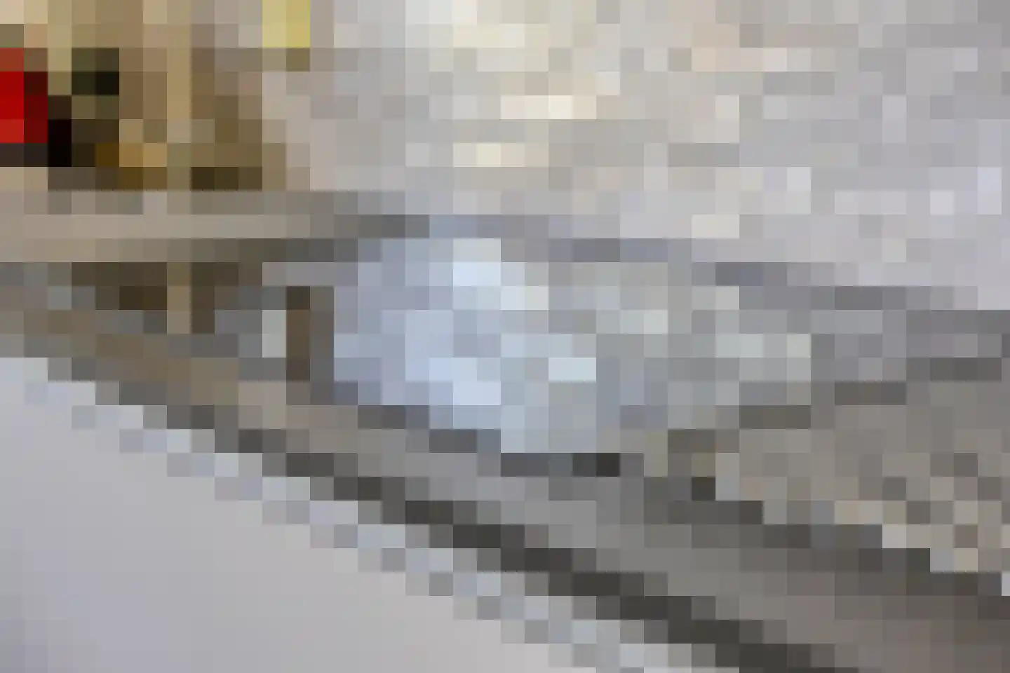 Van Tetterodestraat 81 Tilburg thumbnail 12