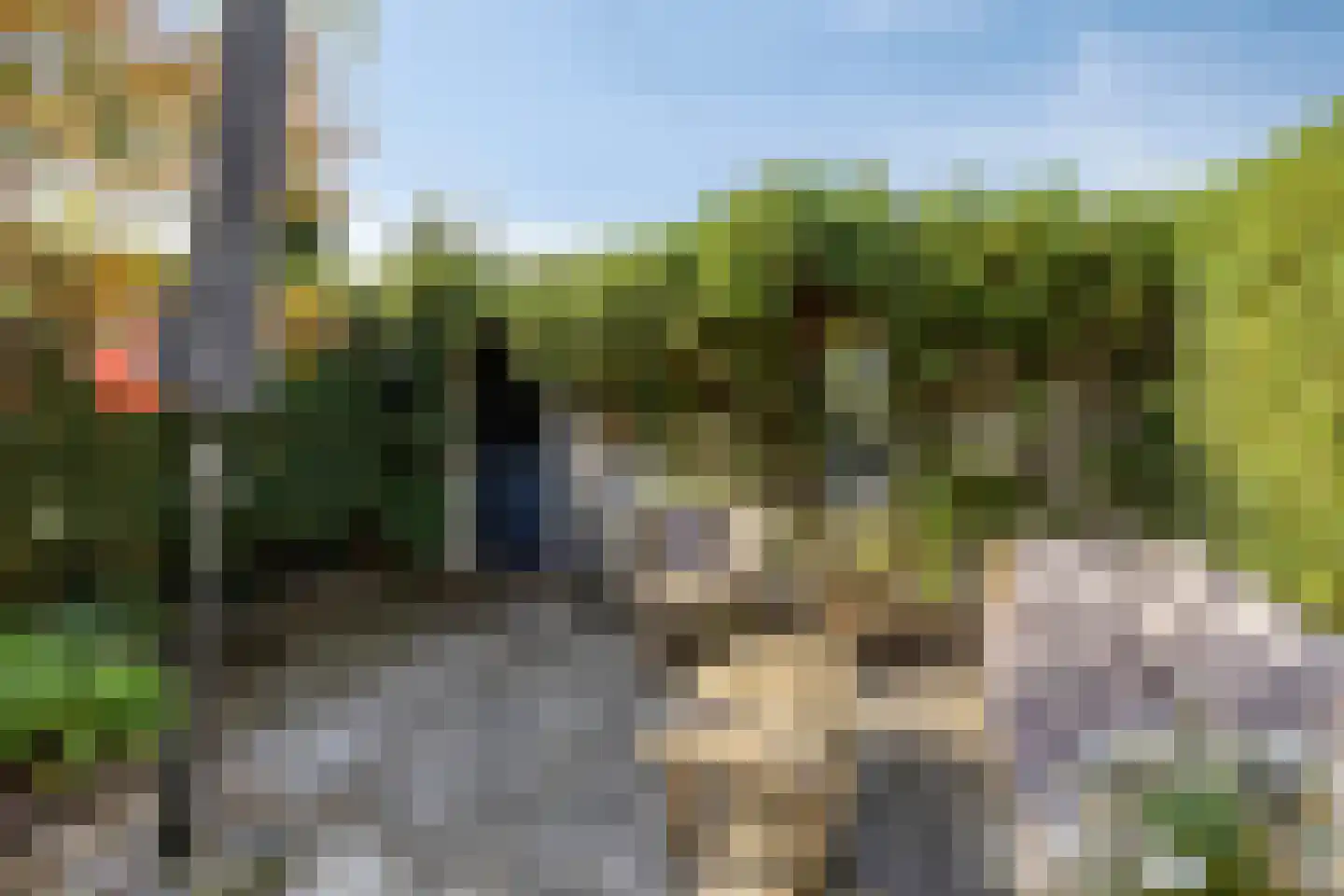 Van Tetterodestraat 81 Tilburg thumbnail 39