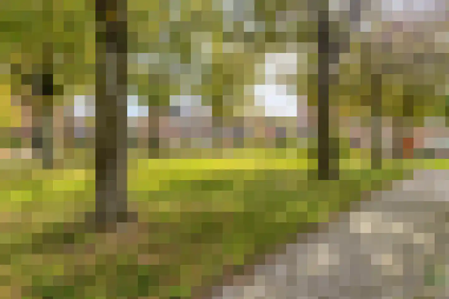 Van Tetterodestraat 81 Tilburg thumbnail 46