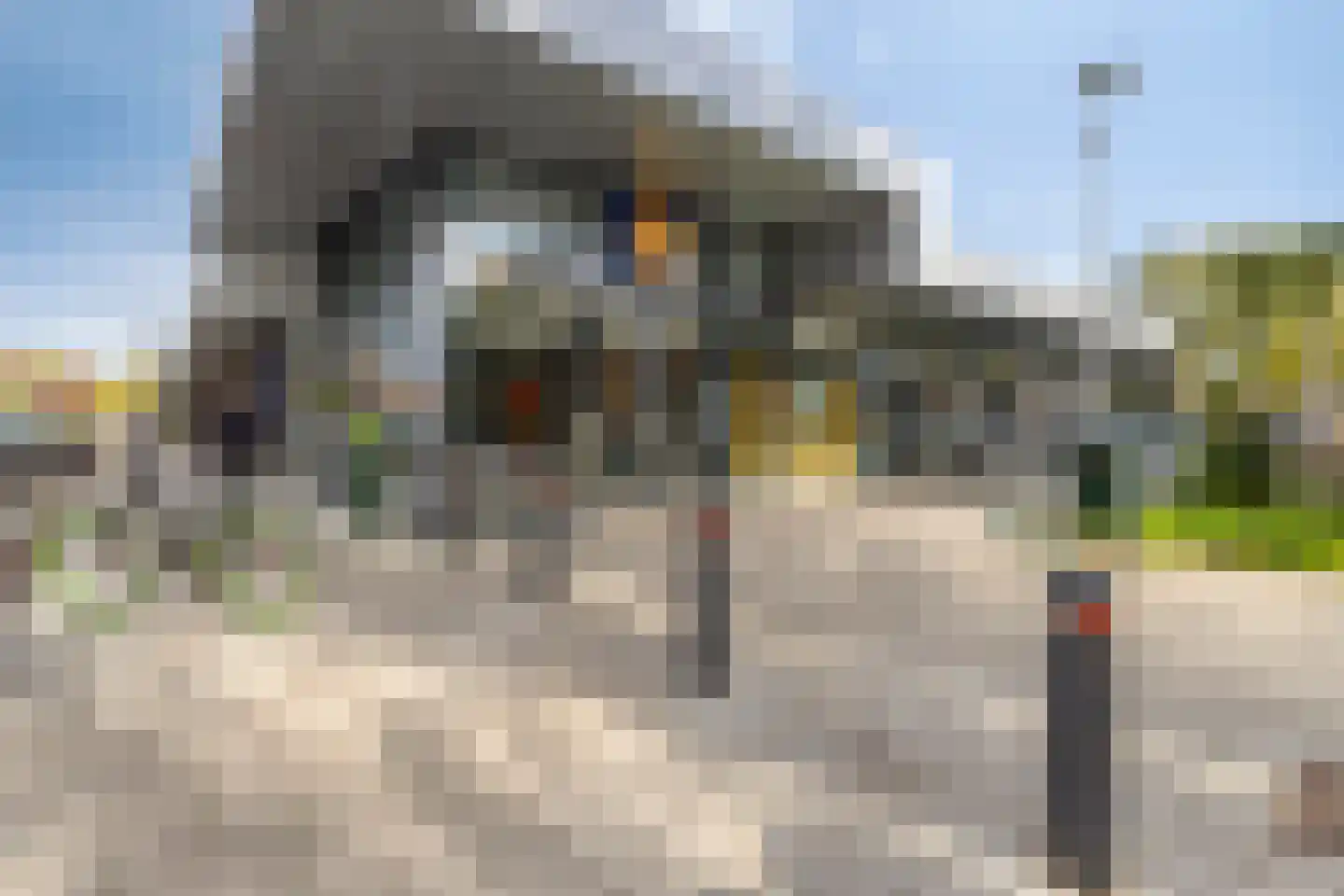 Van Tetterodestraat 81 Tilburg thumbnail 47
