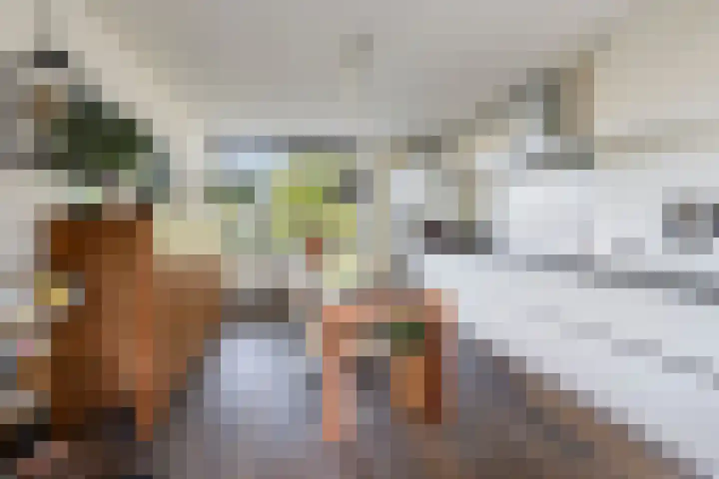 Van Tetterodestraat 81 Tilburg thumbnail 9