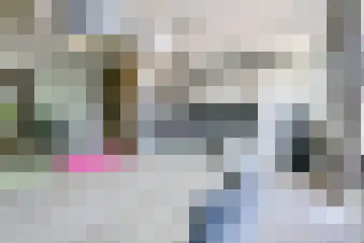 van Teylingenlaan 22 Heerhugowaard thumbnail 14